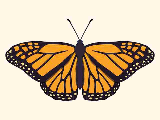 51爆料幕后内幕全网热议榜,粉丝视角高能回顾