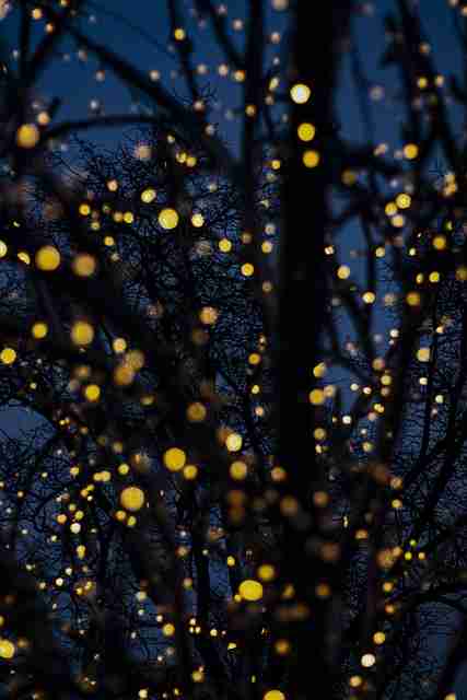 一文读懂糖心vlog新官方入口经典回顾,内容攻略权威解读