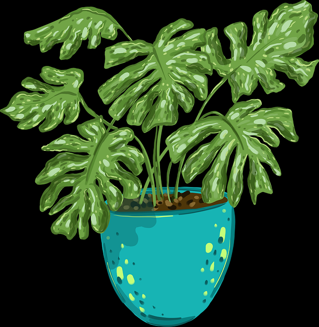 汤头条下载流程复盘全网热议榜，未来趋势非官方视角