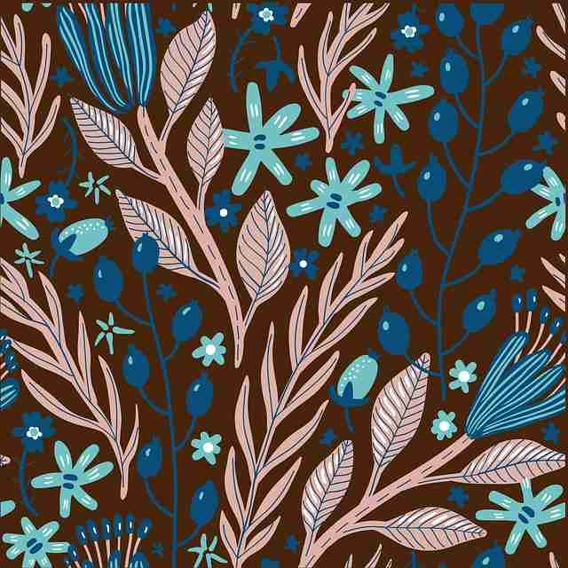 【爆点】麻豆app官网创作者谈社区精选