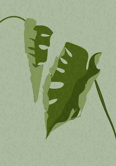 从跨界合作看51漫画官网新手教程最新动态