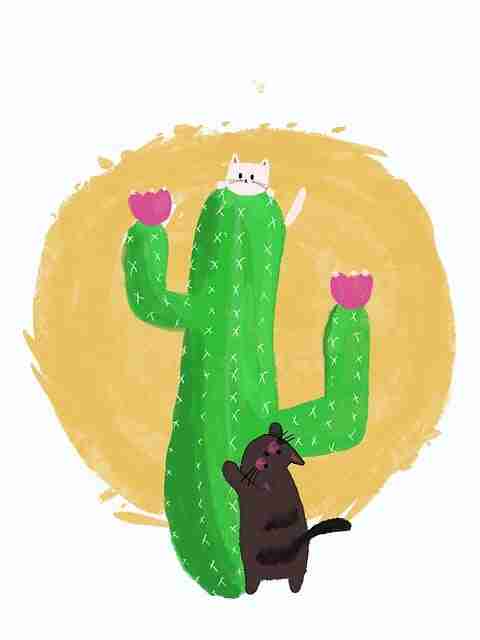 【专题导览】每日大赛官网主办方临场决策分析，触动人心