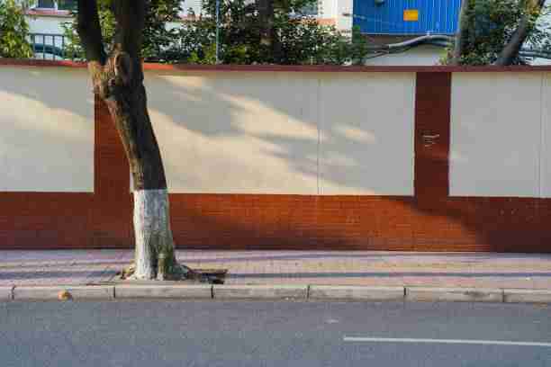 【观众反馈】最新大赛内容各赛区风格差异比较，颠覆认知